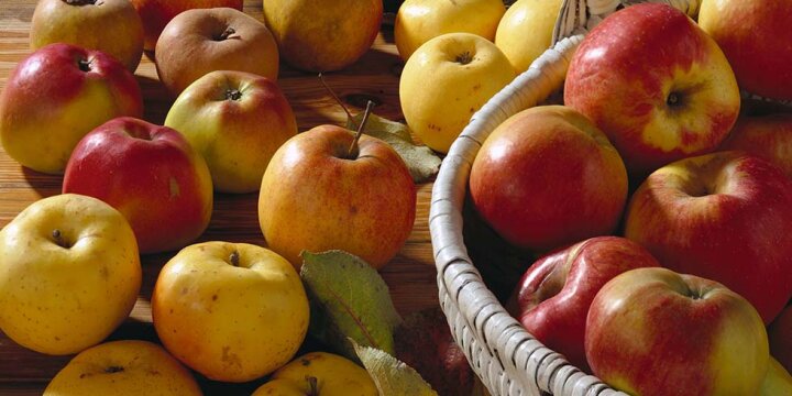 Rot-gelbe Äpfel in einem geflochtenen Korb auf einem Tisch, daneben lose einige einzelne Äpfel und Laub.